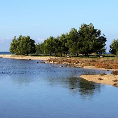 Apartments With A Parking Space Zaton, Zadar - 15000 ซาตอน ภายนอก รูปภาพ